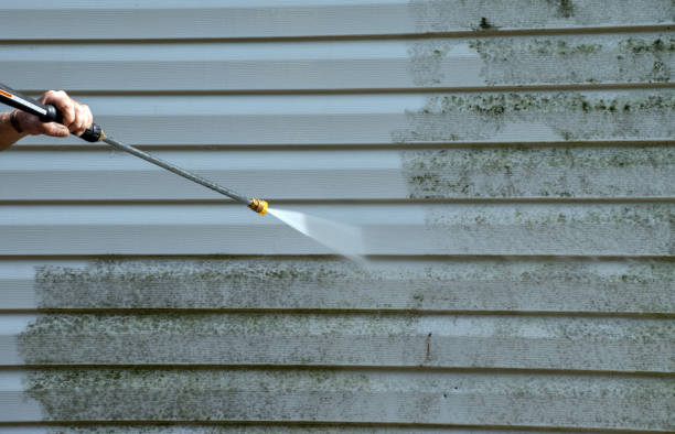 Best Factory Floor Cleaning  in Wren, AR
